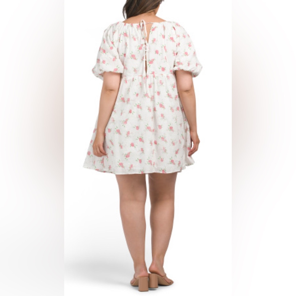 Plus Floral Embroidered Mini Dress- Endless Rose - Picture 2 of 11